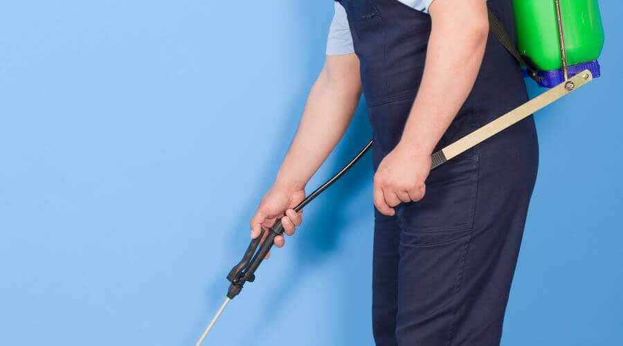 Why choose MMTP Avondale for monthly mosquito treatment plans in Avondale